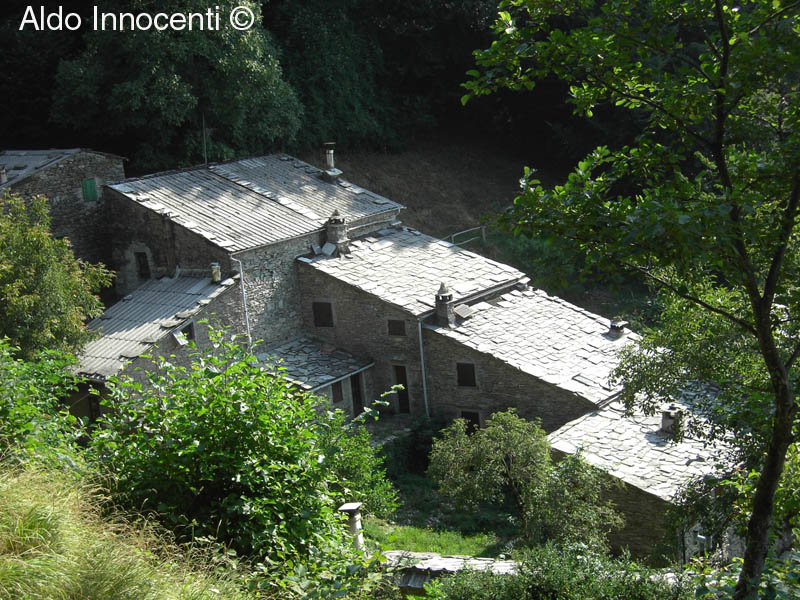 RANOCCHIAIA: 3' IMMAGINE
